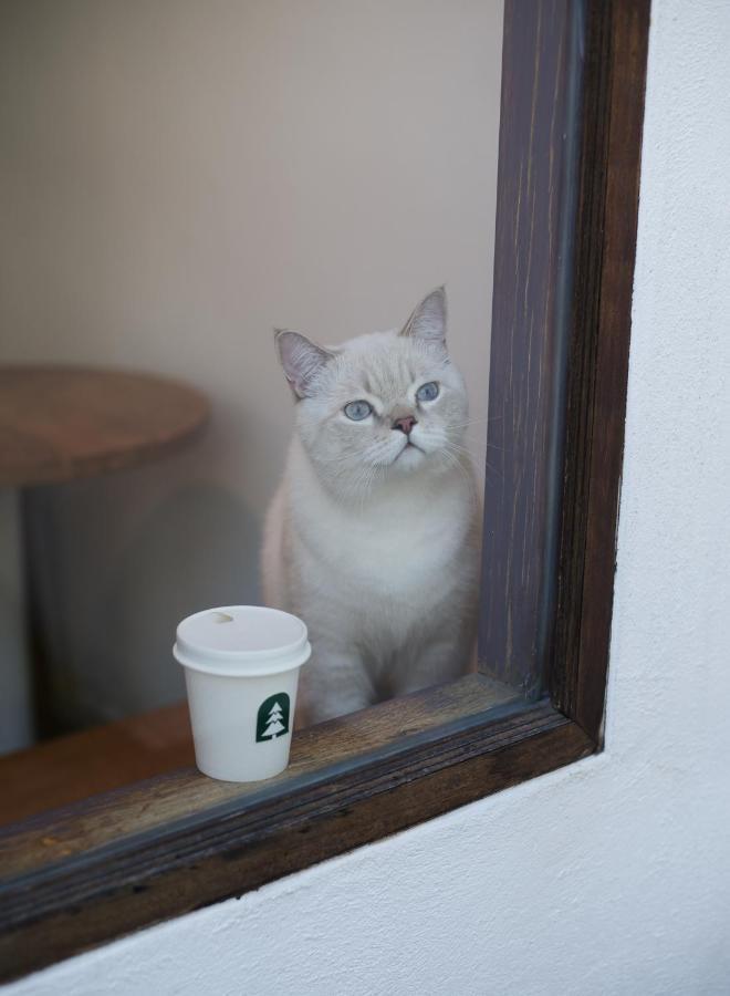 Evergreen Cafe And 3* Chiang Mai